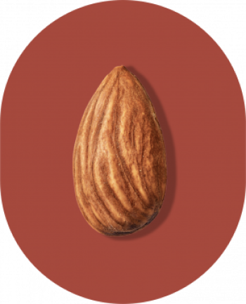 seed